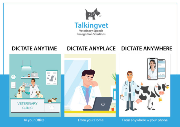 Veterinary dictation software